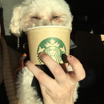Starbucks - Coffee & Tea Near Me - Cherry Hill, New Jersey Starbucks - Coffee & Tea Near Me - Cherry Hill, New Jersey