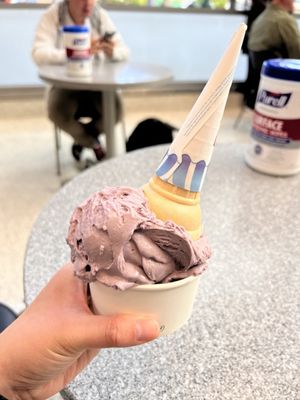 Penn State Berkey Creamery by null