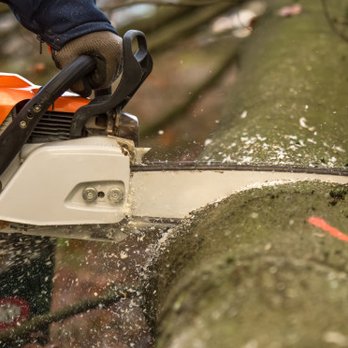 Tree Trimmers USA - Tree Services Near Me Tree Trimmers USA - Tree Services Near Me