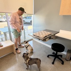 Ontario Ranch Pet Clinic - Exam room. Love the light and airy vibes.