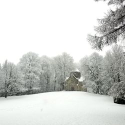 Friedhof Ohlsdorf