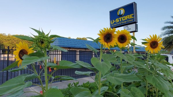 U-Store on Yelp