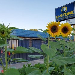 U-Store
