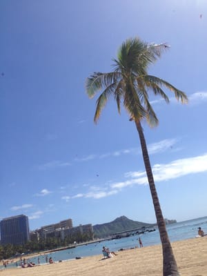 Kahanamoku Beach by null