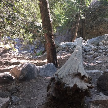 Big Falls - Hiking Near Me - Forest Falls, California