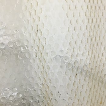 Econo Lodge Inn & Suites - Mold in the shower curtain. Eww! - Hotels Near Me - Corning, California