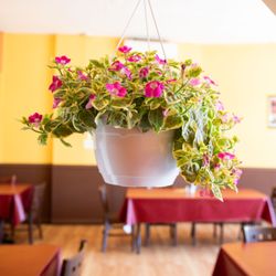 La Fonda Latino Grill - Dinning Room