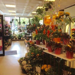 Haninge Blommor