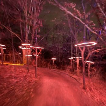 Pittsburgh Botanic Garden - Forest of spinning lights - Botanical Gardens Near Me - Oakdale, Pennsylvania Pittsburgh Botanic Garden - Forest of spinning lights - Botanical Gardens Near Me - Oakdale, Pennsylvania