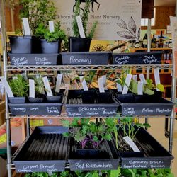 Wild Rivers Market - Starts for the garden