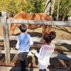 Bergen County Zoo gift card