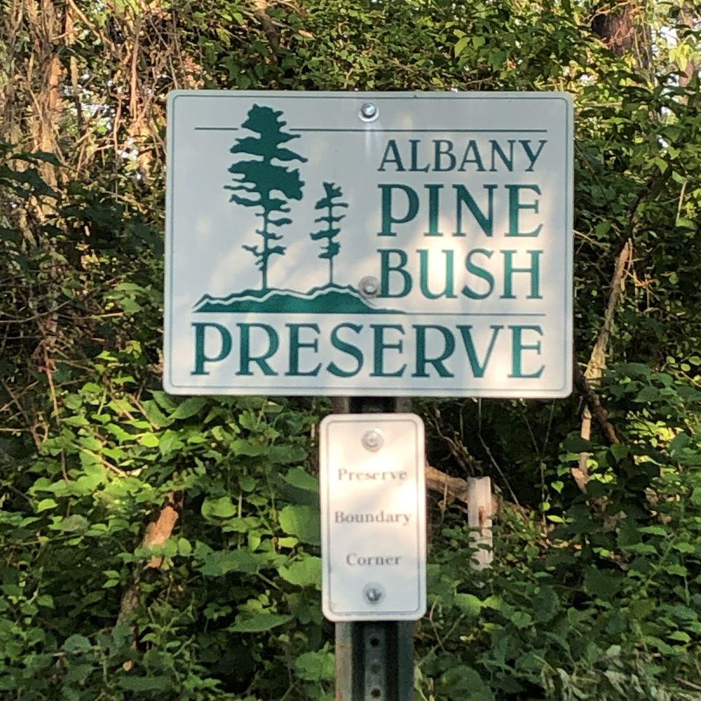 Albany Pine Bush Preserve - Parks Near Me - Albany, New York Albany Pine Bush Preserve - Parks Near Me - Albany, New York