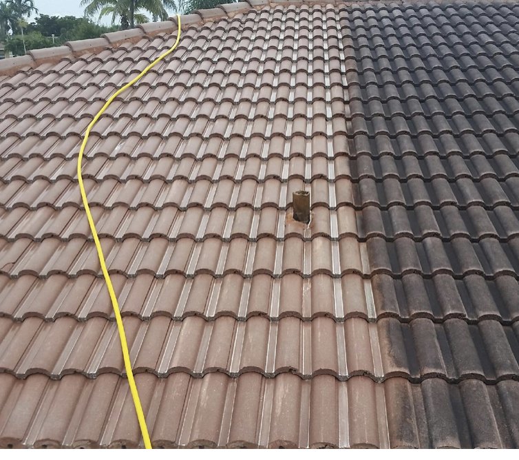 Slide of Protek Services