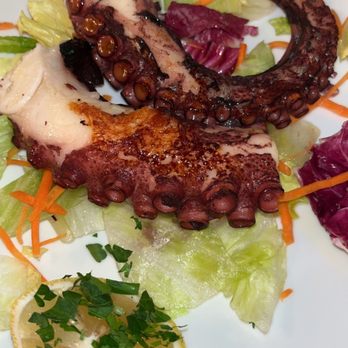 Amici Italian Eatery - Octopus appetizer - Italian Near Me - Largo, Florida Amici Italian Eatery - Octopus appetizer - Italian Near Me - Largo, Florida