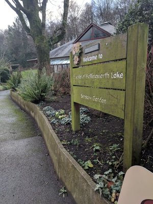 Hollingworth Lake by null