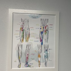 St Pete Physio