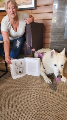 Chalone Vineyard by null