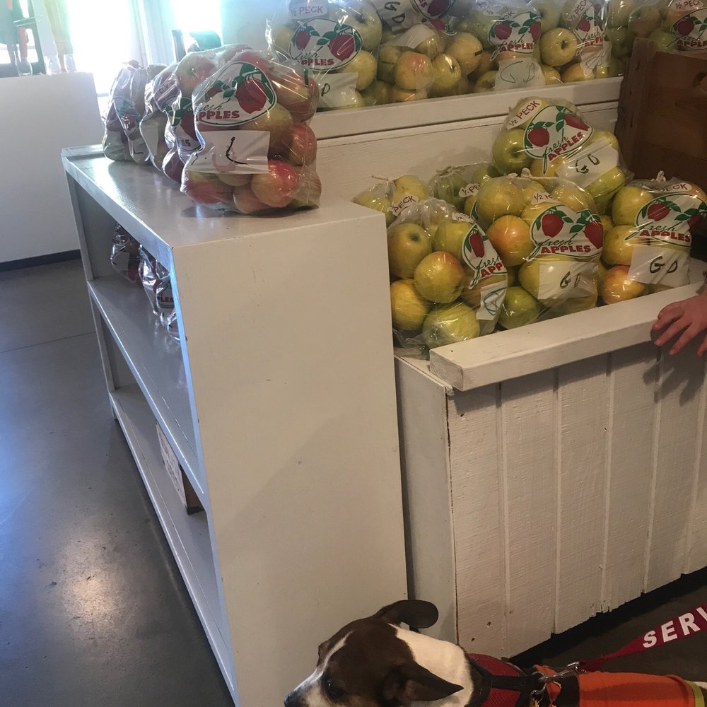 Arbor Day Farm - Pup and golden delicious apples - Fruits & Veggies Near Me - Nebraska City, Nebraska Arbor Day Farm - Pup and golden delicious apples - Fruits & Veggies Near Me - Nebraska City, Nebraska