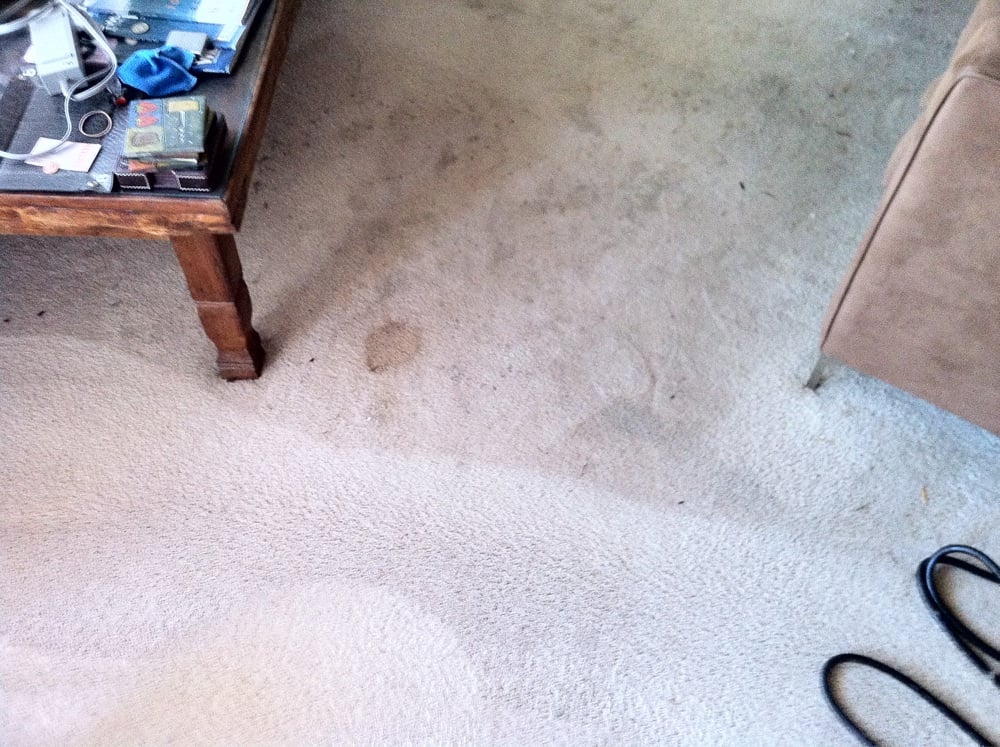 MIKE’S CARPET CLEANING Updated October 2024 21 Reviews San