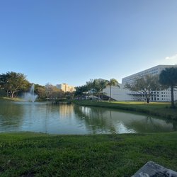 Florida visual data 8