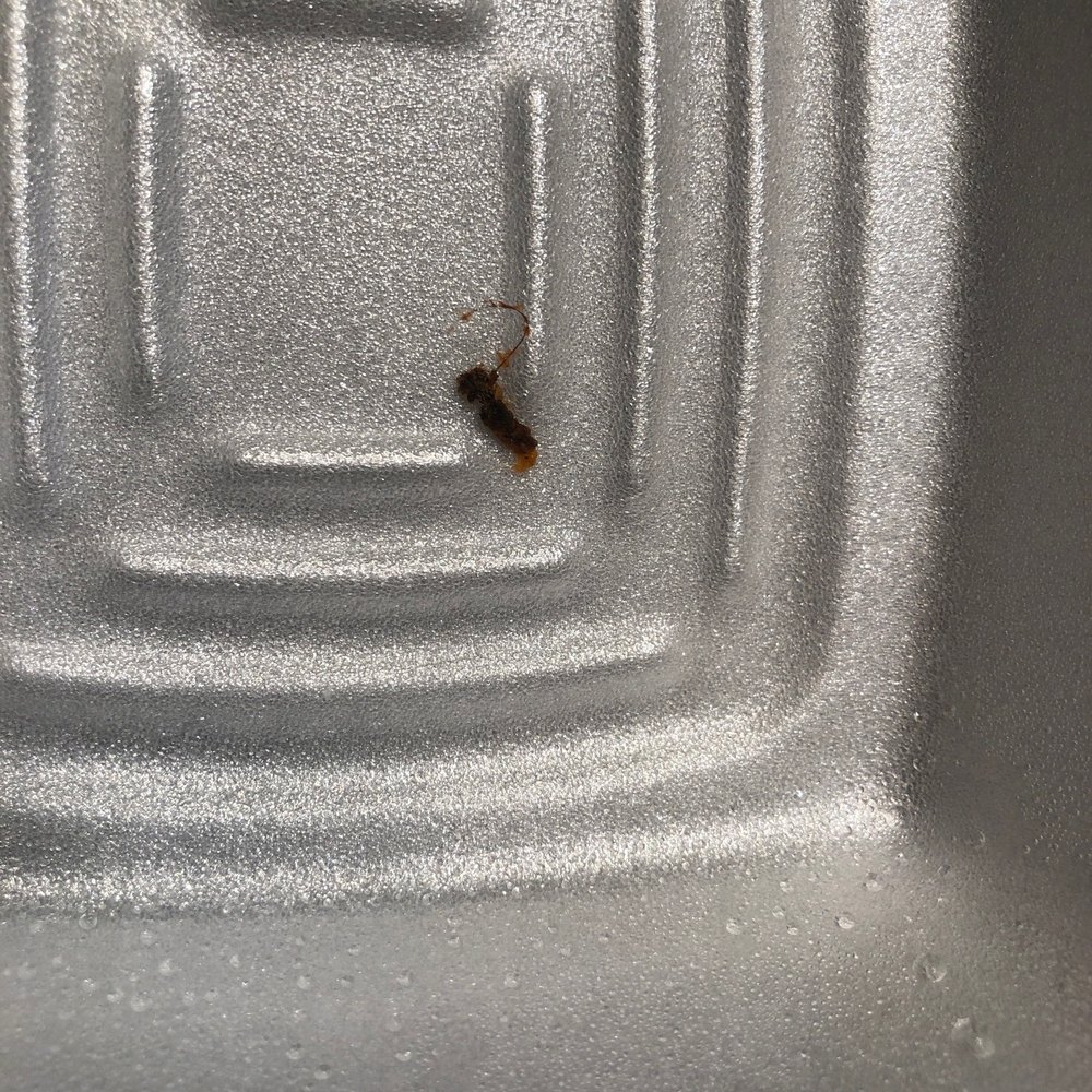 Hair in my food