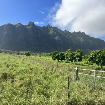 Kualoa Ranch - Tours Near Me - Kaneohe, Hawaii