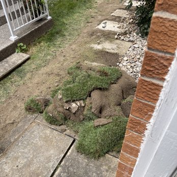 Always Green Inc. - Gardeners Near Me