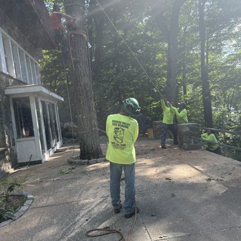 Hudson Valley Tree Removal - Tree Services Near Me - Middletown, New York