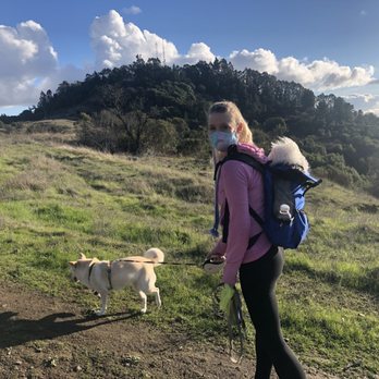 Pupperie - Maya and Floof (in backpack) with Christine - Dog Walkers Near Me - San Francisco, California Pupperie - Maya and Floof (in backpack) with Christine - Dog Walkers Near Me - San Francisco, California