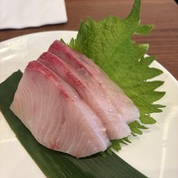 Yellowtail