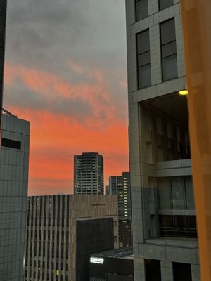 HOTEL THE CELESTINE TOKYO SHIBA by null