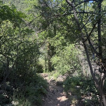 Chautauqua Park - Parks Near Me - Boulder, Colorado
