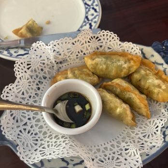 Bangkok Thai - Veggie gyoza - Thai Near Me - Beverly Hills, Florida Bangkok Thai - Veggie gyoza - Thai Near Me - Beverly Hills, Florida