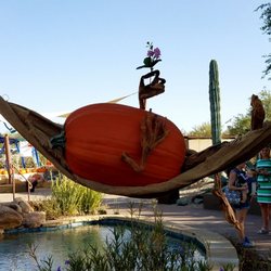Enchanted Pumpkin Garden
