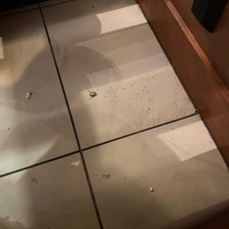 Ants on the floor when this place is supposed to be clean and sanitized. Ants on the floor when this place is supposed to be clean and sanitized.
