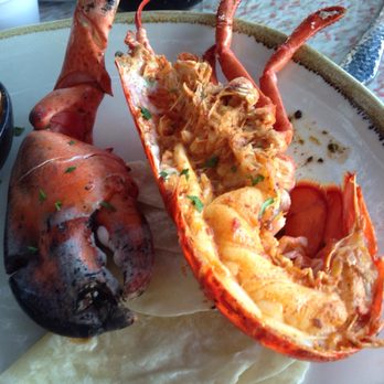 Coasterra - Overcooked Puerto Nuevo Style Maine Lobster - Mexican Near Me - San Diego, California Coasterra - Overcooked Puerto Nuevo Style Maine Lobster - Mexican Near Me - San Diego, California