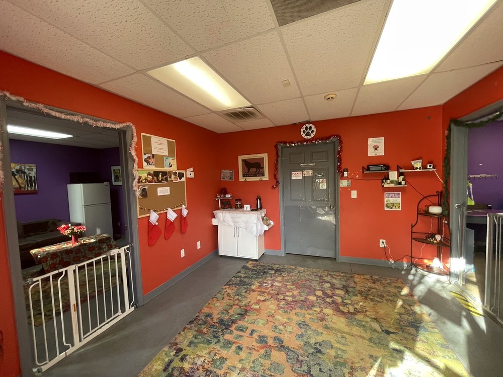 THE POOCH PALACE Updated June 2024 3357 Business Cir, North