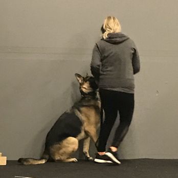 Cali K9 - Pet Training Near Me - San Jose, California