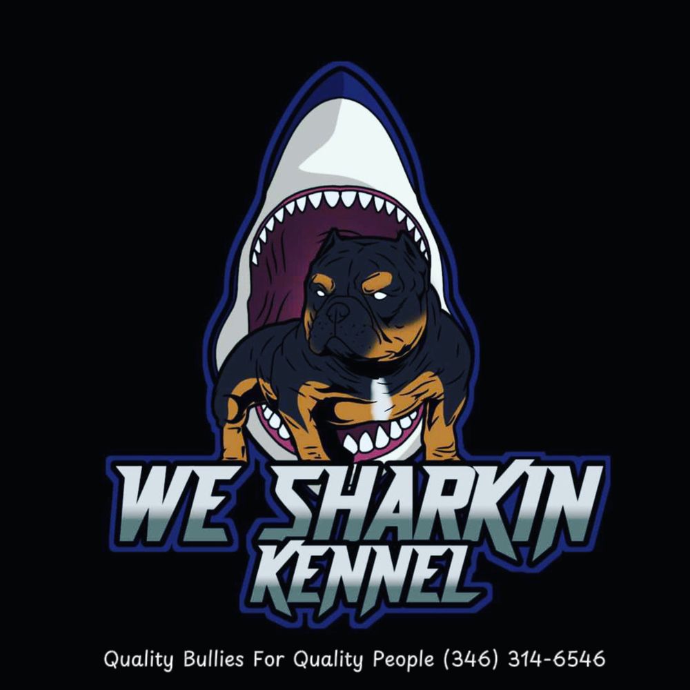 Sharkin WE SHARKIN KENNEL - Updated April 2025 - Request Information - Houston ...