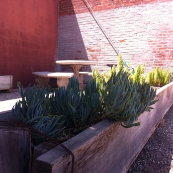 Old Town Clovis - Beautiful planters old style with succulents - Local Flavor Near Me