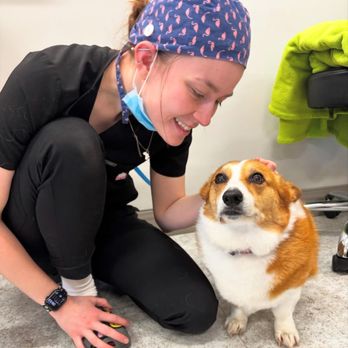 Nimbus Pet Hospital - Veterinarians Near Me - Tigard, Oregon Nimbus Pet Hospital - Veterinarians Near Me - Tigard, Oregon