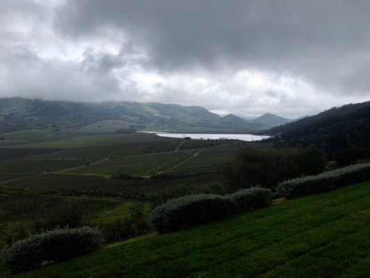 Antinori Napa Valley by null