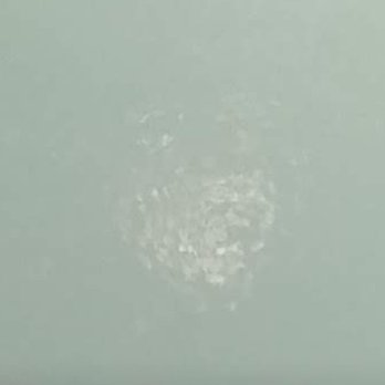 Hampton Inn White House - 2/14/2020 Jacuzzi Dirty - Hotels Near Me - White House, Tennessee