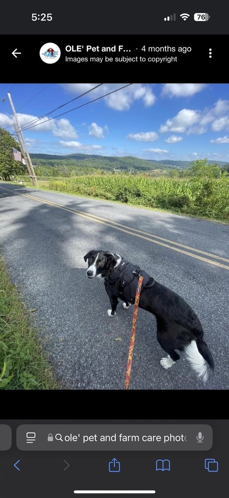 OLE Pet And Farm Care - pet boarding facility in Pipersville, PA