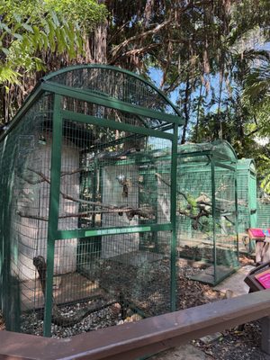 Jungle Island by null