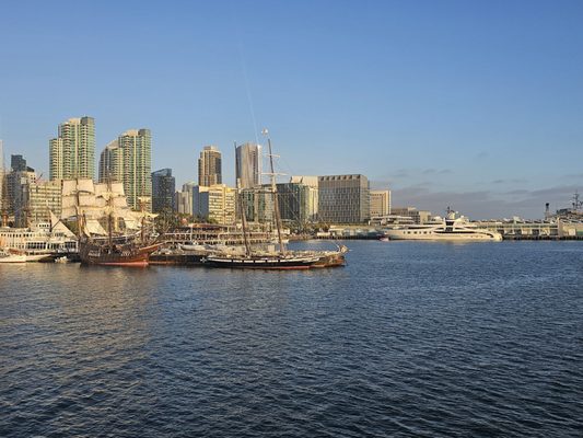 City Cruises by null