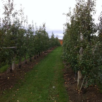 Chudleigh's - Pick your own - Farmers Market Near Me - Halton Hills, Ontario Chudleigh's - Pick your own - Farmers Market Near Me - Halton Hills, Ontario
