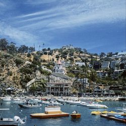 Avalon Seafood