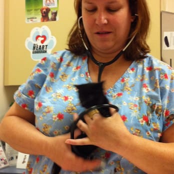 Goldenview Veterinary Hospital - Dr Kris is fabulous - Veterinarians Near Me - Golden, Colorado Goldenview Veterinary Hospital - Dr Kris is fabulous - Veterinarians Near Me - Golden, Colorado