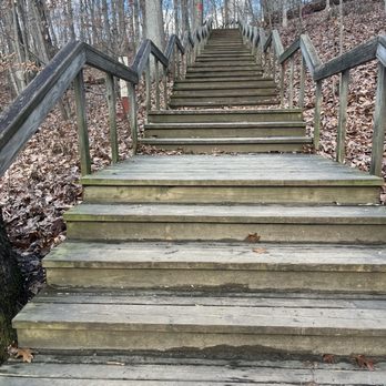 Scott's Run Nature Preserve - The stairs - Parks Near Me - McLean, Virginia